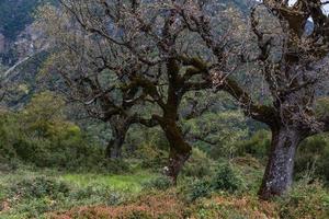 paisajes primaverales de las montañas de grecia foto