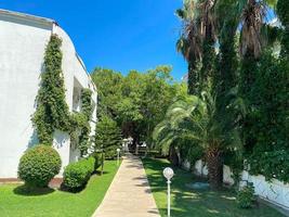 park landscape with plane-trees, palms and walking paths photo