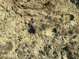 Rock texture. Stone background. Old weathered crumbling mountain surface in cracks background. Light brown rock background photo