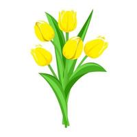 Bouquet of yellow tulips. Vector illustration.