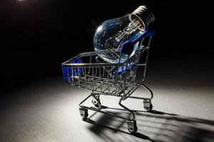 Buy the Light. Shopping cart with light bulb. photo