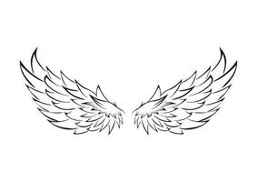 Holy Black Wings On White Background Vector