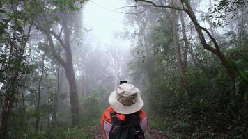 femmina ecologo utilizzando Telefono per studia impianti nel foresta. femmina ambientale scienziato esplorando impianti con smartphone nel foresta pluviale. botanici opera su campo sondaggi. video