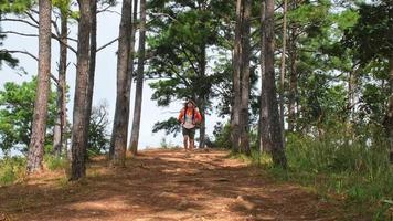 Female ecologist with backpacks walking and studying plants in the forest. Female environmental scientist exploring plants in the rainforest. Botanists work on field surveys. video