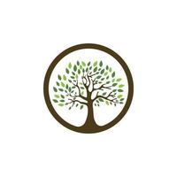 family tree logo template vector