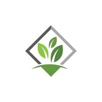 logotipos de la ecología de la hoja del árbol verde vector