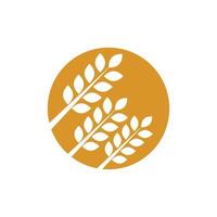 Agriculture wheat vector