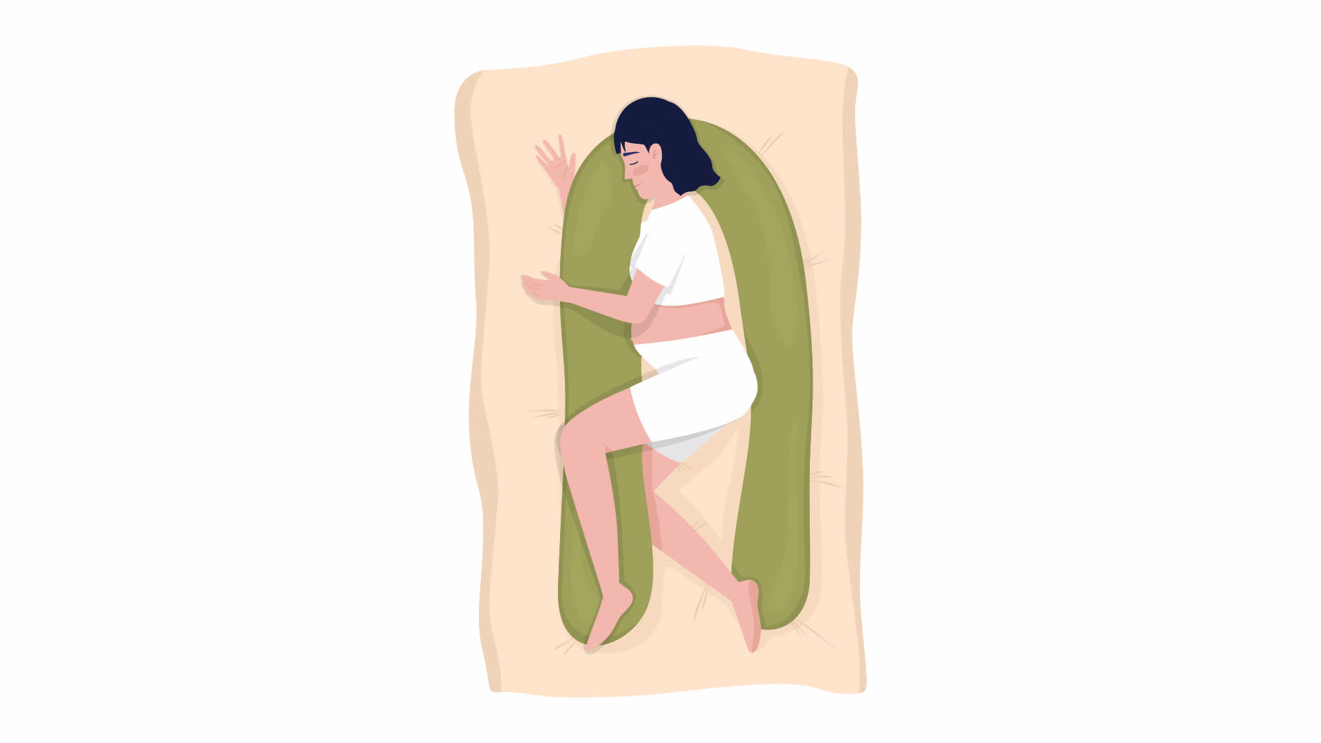 Pregnancy Animation Stock Video Footage for Free Download