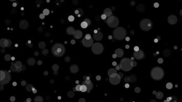 partículas flotando sobre fondo negro abstracto, partículas bokeh volando lentamente video