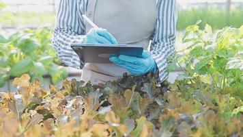 female farmer working early on farm holding wood basket of fresh vegetables and tablet video