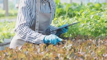 female farmer working early on farm holding wood basket of fresh vegetables and tablet video