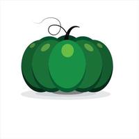 Kabocha Pumpkin, Japanese green pumpkin with white background. Isolated, vector. vector