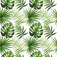 Fondo de patrón de ilustración de vector transparente de hoja de palma tropical. diseño para usar en todo el fondo de papel de envoltura de impresión de tela textil y otros. diseño gráfico de hojas de plantas exóticas de verano