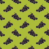 Grave fruits Seamless vector Pattern. Design for use background, textile,Fabric, Wrapping paper and others Isolated on green Background.