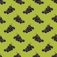 Grave fruits Seamless vector Pattern. Design for use background, textile,Fabric, Wrapping paper and others Isolated on green Background.