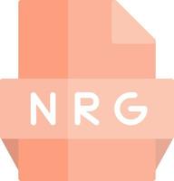 Nrg File Format Icon vector