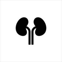 kidneys icon. solid icon vector