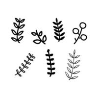 Leaves plant icon vector. Leaves illustration vector