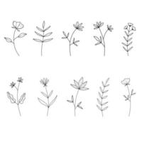 set of different monochrome hand drawn plants and branches vector images