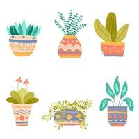 Set of hand drawn vector images of different succulent plants in a colorful pots