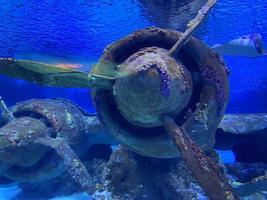 una toma de la cabina de un avión hundido bajo el agua llamado bombardero betty en la laguna de chuuk. el avión japonés fue destruido en la operación granizo durante la segunda guerra mundial foto