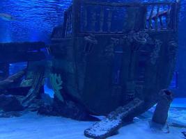 Underwater panorama of a scuba diver with a torch exploring a sunken shipwreck at the Maldives islands, Indian Ocean photo