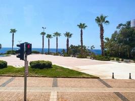 crosswalk in a hot, tropical country. next to the road palm trees, traffic light with red light, pedestrians are not allowed to go. sea and beach, palm trees and greenery photo