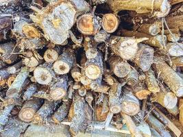 leña ordenadamente apilada en filas. tablas cortadas para encender la estufa en el pueblo. textura, fondo. madera natural foto