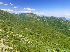 high mountains in a hot, tropical country. mountain with green bushes and herbs. plants grow on high mountains, a green carpet of herbs photo