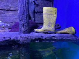 Rubber boots or gumboots underwater on sand ground photo