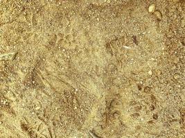 texture, sand on the beach. yellow, loose, fine sand, 3d background, natural material. grains of sand on the sea, a walk on the warm sand photo