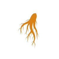 conjunto de logotipo de ginseng para icono de ilustración de medicina herbaria vector