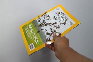 West Java, Indonesia on July 2022. A hand is holding a yellow Indonesian edition of the national geography magazine with the November 2021 photo