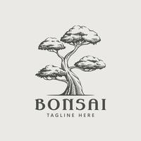 plantilla de diseño de logotipo de árbol bonsai vintage vector