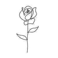 Line art rose vector illustration, minimalist flower