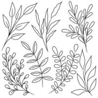 Hand drawn line art leaves, vector elements