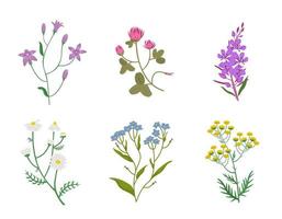 Set of different wildflowers. Beautiful flower twigs in cartoon style. vector