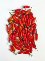 chiles de ojo de pájaros rojos picantes locales indonesios con fondo blanco foto