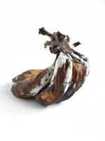 Rotten and moldy banana in white background photo