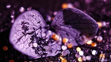 Macro Shot Of Glitter on A Flower In Karachi, Pakistan 2022 photo