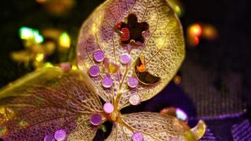 Macro Shot Of Glitter on A Flower In Karachi, Pakistan 2022 photo