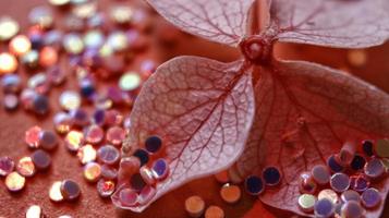 Macro Shot Of Glitter on A Flower In Karachi, Pakistan 2022 photo