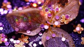 Macro Shot Of Glitter on A Flower In Karachi, Pakistan 2022 photo