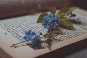 Tiny Purple Flowers In Old Vintage Book