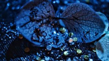 Macro Shot Of Glitter on A Flower In Karachi, Pakistan 2022 photo