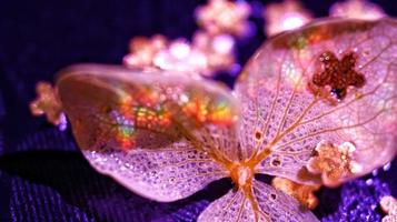 Macro Shot Of Glitter on A Flower In Karachi, Pakistan 2022 photo