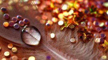 Water Drop Macro Shot On Feather In Karachi Pakistan 2022 photo
