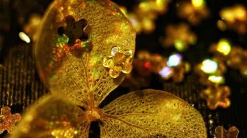 Macro Shot Of Glitter on A Flower In Karachi, Pakistan 2022 photo
