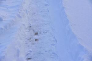 A snow path in a field in winter. White snow path. photo