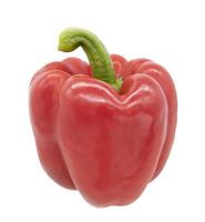 Red pepper isolated on white background photo